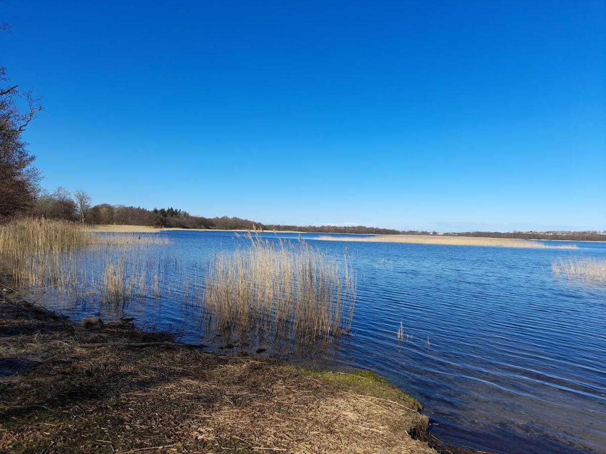 Jonstrupvejens Apartments Lejl B Ballerup Bagian luar foto