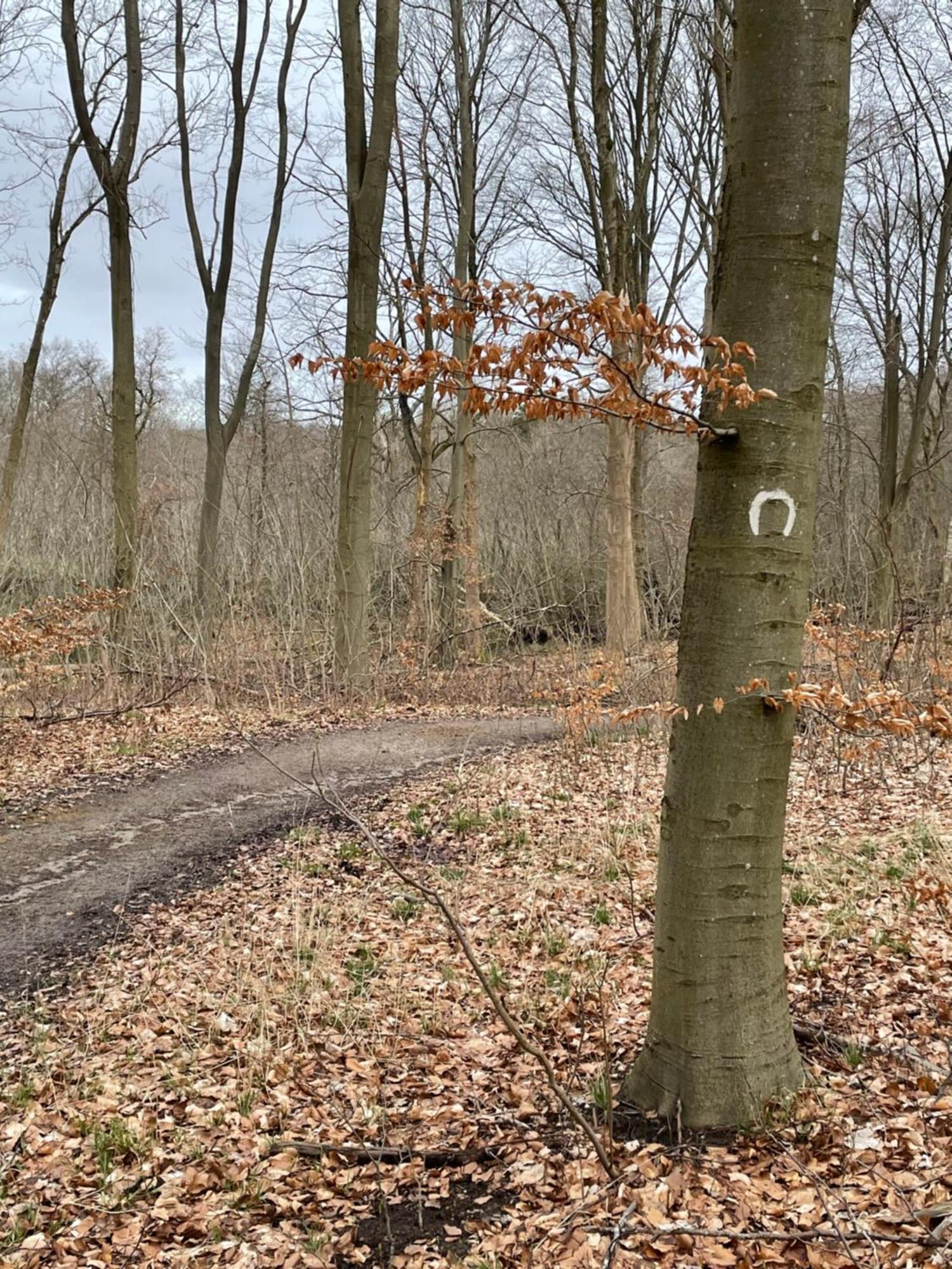 Jonstrupvejens Apartments Lejl B Ballerup Bagian luar foto